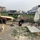 쿠잉하우스