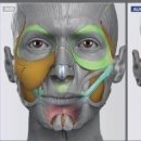 뉴리즈의원 이미지