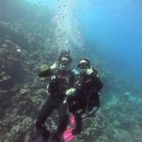 카페86 | 이집트🇪🇬 | 다합(Dahab) | 스쿠버 다이빙 체험•파르샤 카페 | Day86