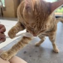 그루밍라운지 이미지