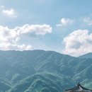 하동여행 2박3일 동안 가볼만한곳 추천해드릴게요!