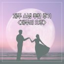 사려니필름 | 제주 웨딩스냅은 무조건 여기 "제주의 오후" 내돈내산 솔직 추천 후기