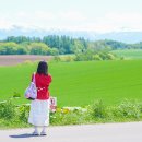 청록농장 | 삿포로 비에이투어 예약 코스 일정 홋카이도 일본북해도여행 후기