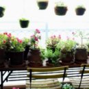 늘봄다방 이미지