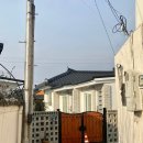 황룡stay 이미지