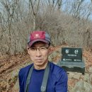 동산목재 - 전주시 덕진구 인후동1가 | [늦은 후기] 제천 동산, 작성산 환종주 산행 (feat. 남근석 & 소뿔바위)_2023.03.26(일)