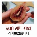 레드그린 | 루비 레드키위 구매 후기 : 그린 키위와의 차이점과 장단점