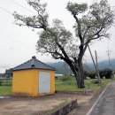모화리