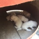 지방도925호선 Daum카페