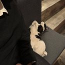 부천로66번길 이미지