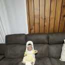 수유세탁 이미지