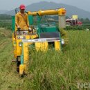 봉전1리 이미지