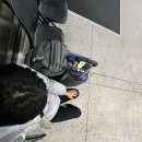 진웅농장 이미지