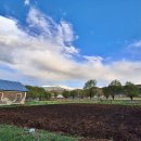 라이브민박 이미지