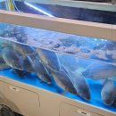 창원횟집 이미지