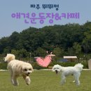 멍뛰멍 | 파주 뛰뛰멍 애견운동장&amp;카페 방문 후기