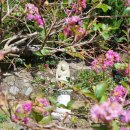 창원 대광사 경덕전등록 | 템플스테이 대광사 사찰여행으로 마음 수양 쌓아요!