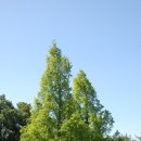 황지후 카카오 검색결과