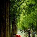 여름향기 이미지