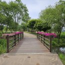 다산생태공원 이미지