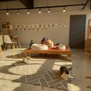 예뻐질:개&고양이카페 | 구미 고양이카페 예뻐질개&amp;고양이에서 고양이랑 놀고, 보드게임도 하고! 무한 셀프바+보드게임까지!?