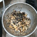 거두리 주공1차A | 중랑구 신내동 주공A 싱크대막힘 하수구뚫어 즉시출동 현장 리뷰~~