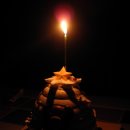 서소문족발 (화명점) | ㅎㅇ 나 졸업함 성인임