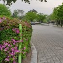 삼영전자공업(주) 포승2공장 - 18848 | 삼영전자공업(주) 포승2공장