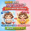 디톡더퓨어