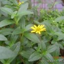 선황농장 이미지