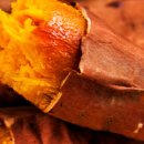 해풍상회 이미지