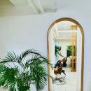 모트헤어 이미지