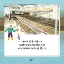 천지수향 티스토리