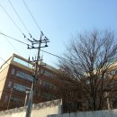 양진초교병설유치원 이미지