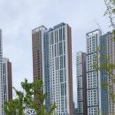 새빛공원 이미지