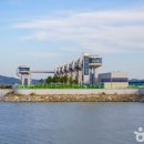 당진월드아트서커스 이미지