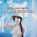 지사랑 작은도서관 | 부산 영도 국립해양박물관 아쿠아리움 스냅촬영 후기 아이와 가볼만한 곳
