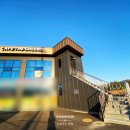 더 그린즈 네이버블로그