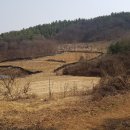 박상국공인중개사사무소 이미지