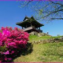 대전보문산성: 대전 중구 보문산공원로426 이미지