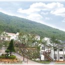 소나무펜션형민박 이미지