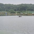 이천낚시터 이미지