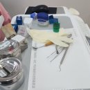 로얄패밀리치과의원 | [산본 어린이 치과] 어린이부터 성인까지 진료가능 한 로열패밀리 치과 의원
