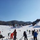 리더스태권도 이미지