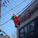 일품정가 | 창원 부림시장 맛집 투어, 정가불떡과 시장 비빔밥 후기