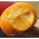 시목농장 이미지