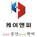 케이앤피