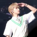 나의 여름을 모두 네게 줄게 ❥･• | 240830-240831 앤팀 콘서트 후기