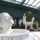 펫스페이스 이미지