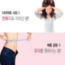 와이디컴퍼니(YD company)